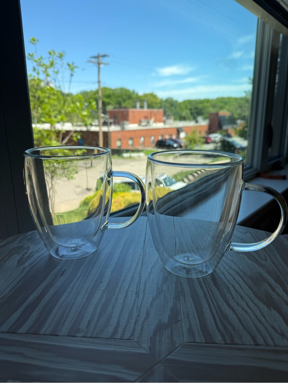 2 Pack, 12-oz DoubleWall Glass Coffee Mugs with Insulated Handle